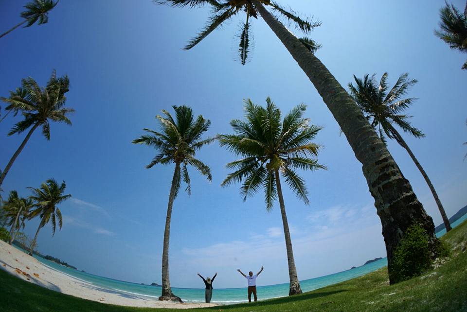 Happy Holiday