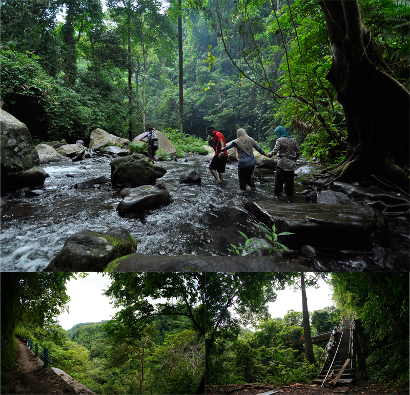 Jalur Tracking di Wisata Air Terjun